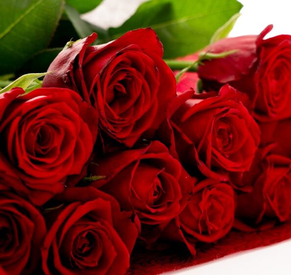 クリスマス懐石「天空」の薔薇の花束